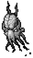 Brain Squid