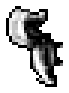 Skunk