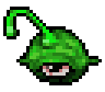 Gazer