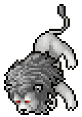 White Lion