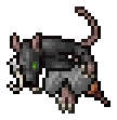 Pirat Cutthroat