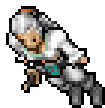 Pirate