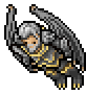 Draccoon Herald