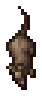 Rat