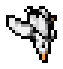 Seagull