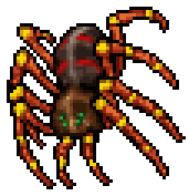 Clintrysel, Nameless Spider
