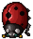 Ladybug
