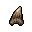 Fragment Skiesh