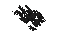 Ashen Shard Sann