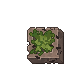 Ancient Sigil Zoum