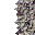 Bronze Mark Glysh