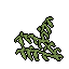 Amber Sigil Blan