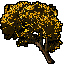 Amber Remnant Ge
