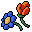 wild flowers
