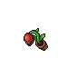 carnivorous plant