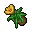 honey flower