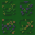 veldt flowers