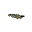 Keepsake Mond