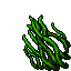Sun Kelp
