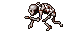 pile of bones