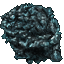 Coral Shell Shield