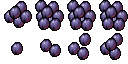 plum