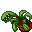 flower pot
