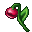 bloodkiss flower